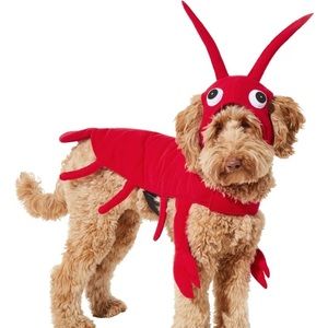 Frisco Red Lobster Dog & Cat Costume Size XL